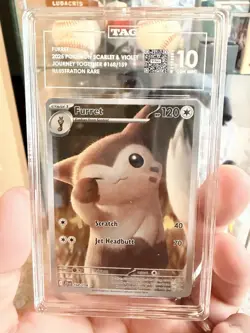 Pokemon TCG Furret Card Journey Together Illustration, Rare, 168/159 - Image 1