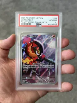 Pokemon Charcadet MEP 022 Illustration Rare Phantasmal Flames PSA 10 - Image 3