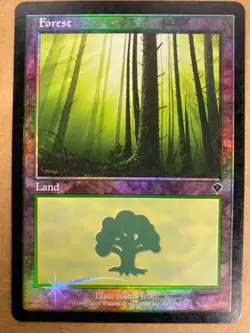 MTG 1x FOIL Forest # 347 Invasion Pauper Magic the Gathering Card x1 MP - Image 1