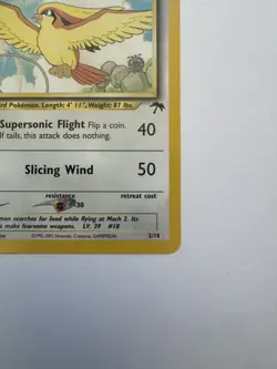 The Pokemon Company Pidgeot 02/18 Southern Islands Promo Stage 2 70 HP English - Image 4