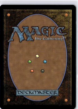 Stormcarved Coast (Borderless) Secrets of Strixhaven Regular NM R 0304 - Image 2