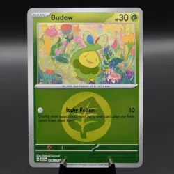 Budew (Energy Symbol Pattern) 016/217 Ascended Heroes Pokemon Reverse Holo NM - Image 1