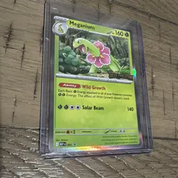 Pokemon Meganium 001 Mega Evolution Promo 160 HP Holo Promo Stage 2 EN - Image 1