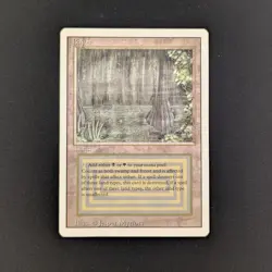 MTG \>> Bayou (PL) <<// Revised - 341 Trading - Magic - Image 1