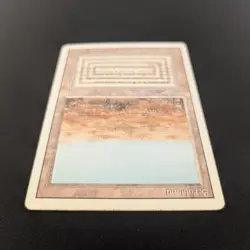 MTG \>> Scrubland (LP) <<// Revised - 341 Trading - Magic - Image 4