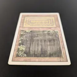 MTG \>> Bayou (EX) <<// Revised - 341 Trading - Magic - Image 4