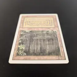 MTG \>> Bayou (PL) <<// Revised - 341 Trading - Magic - Image 4