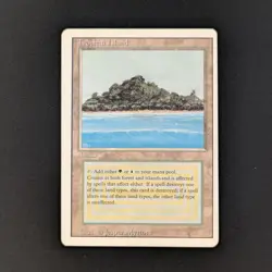 MTG \>> Tropical Island (PL) <<// Revised - 341 Trading - Magic - Image 1