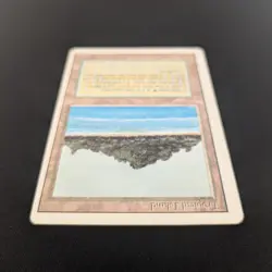 MTG \>> Tropical Island (PL) <<// Revised - 341 Trading - Magic - Image 4