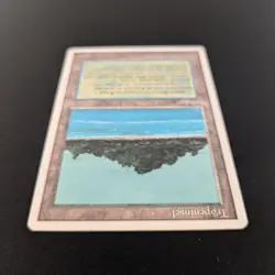 MTG \>> Tropical Island (EX) <<// Foreign White Bordered - 341 Trading - Magic - Image 4