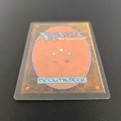 MTG \>> Tropical Island (EX) <<// Foreign White Bordered - 341 Trading - Magic - Image 5