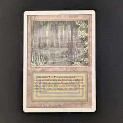 MTG \>> Bayou (EX) <<// Revised - 341 Trading - Magic - Image 1