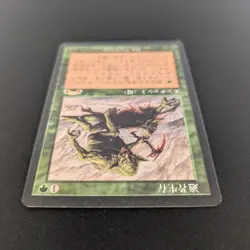 MTG \>> Survival of the Fittest (GD) <<// Exodus - 341 Trading - Magic - Image 4