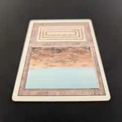 MTG \>> Scrubland (PL) <<// Revised - 341 Trading - Magic - Image 4