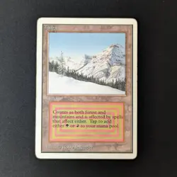 MTG \>> Taiga (PL) <<// Unlimited - 341 Trading - Magic - Image 1