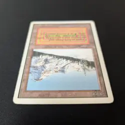 MTG \>> Taiga (PL) <<// Unlimited - 341 Trading - Magic - Image 4