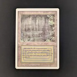 MTG \>> Bayou (NM) <<// Revised - 341 Trading - Magic - Image 1