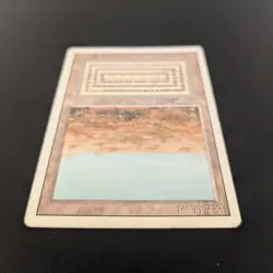 MTG \>> Scrubland (LP) <<// Revised - 341 Trading - Magic - Image 4