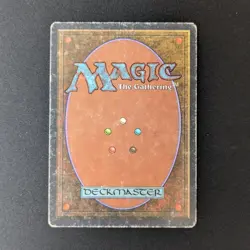 MTG \>> Birds of Paradise (PL) <<// Unlimited - 341 Trading - Magic - Image 2