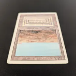 MTG \>> Scrubland (PL) <<// Revised - 341 Trading - Magic - Image 4