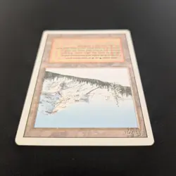 MTG \>> Taiga (GD) <<// Revised - 341 Trading - Magic - Image 4