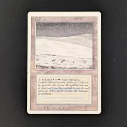 MTG \>> Tundra (LP) <<// Revised - 341 Trading - Magic - Image 1
