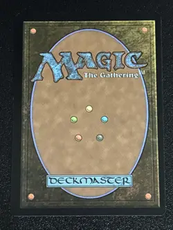 MTG Foundations Plains Full Art 0282 NM - Image 2