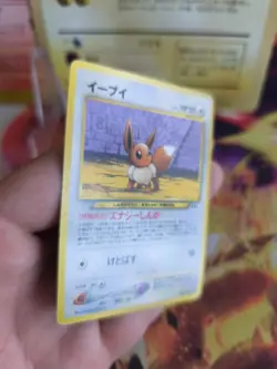 Pokemon Karte Card Eevee Evoli Neo Discovery File Binder Promo Wotc japanese Exc - Image 5