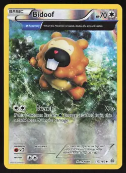 Bidoof 117/160 Uncommon Primal Clash Pokemon Reverse Holo Lightly Played - Image 1