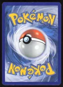 Bidoof 117/160 Uncommon Primal Clash Pokemon Reverse Holo Lightly Played - Image 2