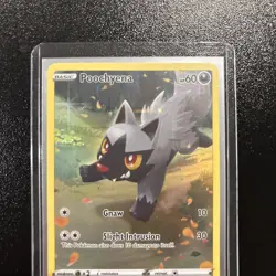 The Pokemon Company Poochyena GG33/GG70 Crown Zenith GG Holo Ultra Rare 60 - Image 3