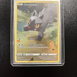 The Pokemon Company Poochyena GG33/GG70 Crown Zenith GG Holo Ultra Rare 60 - Image 4