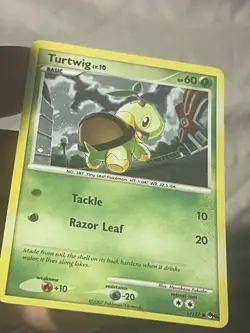 2007 Pokemon POP Series 6 Turtwig 17/17 HOLO Common Promo LP - Image 2