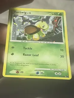 2007 Pokemon POP Series 6 Turtwig 17/17 HOLO Common Promo LP - Image 4
