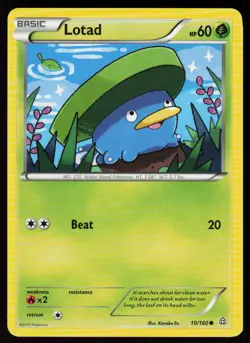 Lotad 10/160 Common Primal Clash Pokemon Near Mint - Image 1