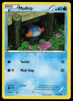 Mudkip 33/160 Common Primal Clash Pokemon Near Mint - Image 1