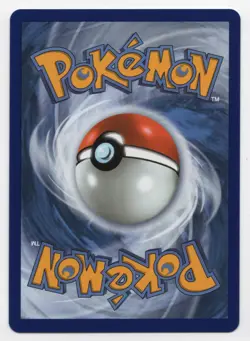 Pokemon TCG Litten 044 First Partner Illustration Black Star Promo - Image 2