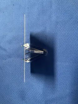 Eladamri's Call Modern Horizons Regular - Image 5