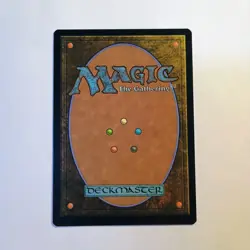 Raph & Mikey Troublemakers Showcase 0250 MTG Magic the Gathering Regular Rare NM - Image 2