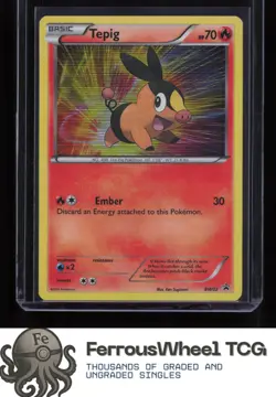 Tepig (BW02) BW02 - Black and White Promos - (NM-/LP+) - Image 1