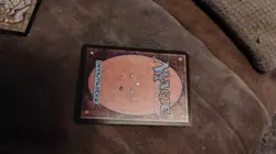 Revised Edition Savannah - Image 3