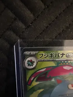 Venusaur ex 184/165 Sv2a: Pokemon Card 151 Holo (Japanese) - Image 3