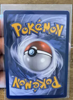 Shaymin EX XY148 Black Star Promo 2016 Holo Mint/NM Pokemon TCG - Image 4