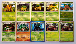 Pokemon Card Grotle Torterra Common Horo Rare 10 Set Japanese - Image 1