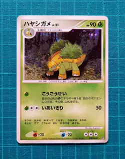 Pokemon Card Grotle Torterra Common Horo Rare 10 Set Japanese - Image 4