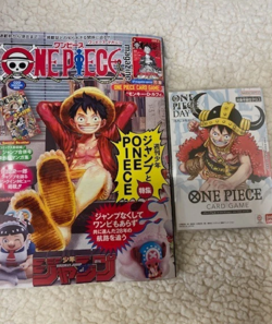 ONE PIECE DAY 25 Luffy P-110 + Magazine Vol.20 with Promo Card Luffy SR ST21-01 - Image 1