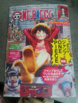 ONE PIECE DAY 25 Luffy P-110 + Magazine Vol.20 with Promo Card Luffy SR ST21-01 - Image 4