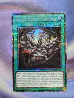 Black Rose Garden DOOD-EN055 Starlight Rare 1st Edition NM Yugioh - Image 1