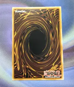 Black Rose Garden DOOD-EN055 Starlight Rare 1st Edition NM Yugioh - Image 2