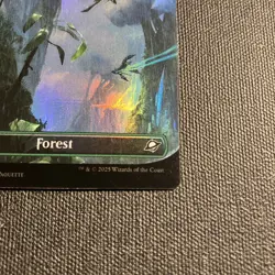 Magic: The Gathering Forest Foil Borderless Edge of Eternities 0266 Eng - Image 4